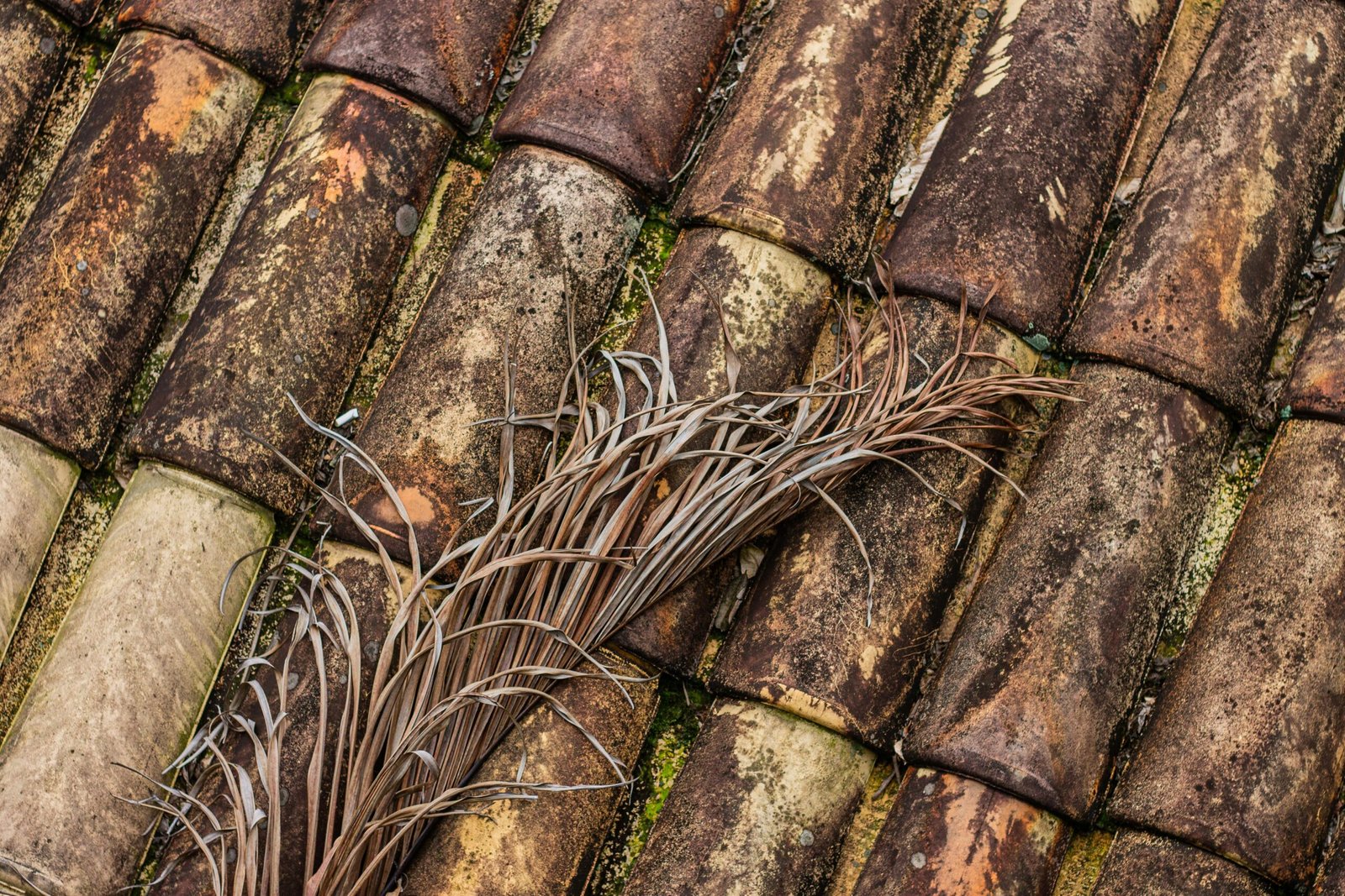 Leaf Filter Installation in Naples, FL